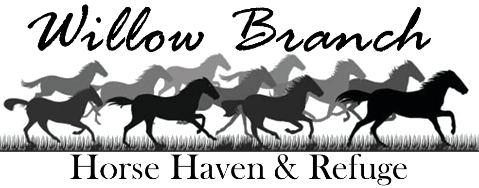 Willow Branch Horse Haven and Refuge
